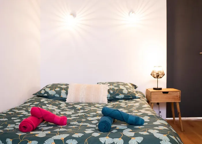 Daire Instant Pyreneen Lourdes