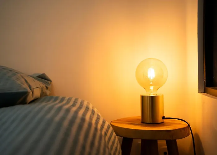 Instant Pyreneen Daire *