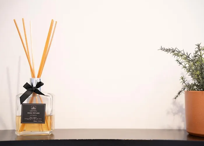 Daire Instant Pyreneen *